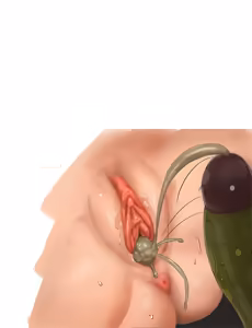 Page 1833 of - Transparent Background Gallery (uncensored) - preview thumbnail