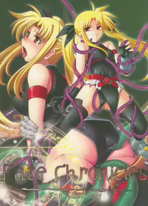 Fate Chronicles — hentai manga cover on Fhentai