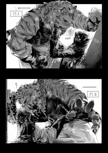 Page 1423 of Mountain Compilation 2 - preview thumbnail