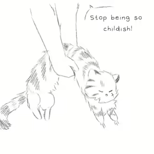 Page 1711 of Mountain Compilation 2 - preview thumbnail