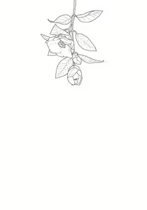 Page 16 of Yappari, Kamisama nante Inakatta ne. - preview thumbnail