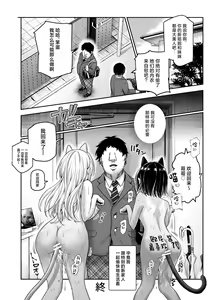 Page 41 of Totsuzen Gishi to Gimai ga Dekite Shimatta Ken EX - preview thumbnail