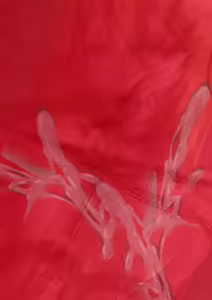 Page 180 of FT少女（8416908） - preview thumbnail