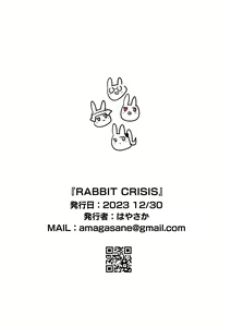 Page 22 of RABBIT CRISIS - preview thumbnail