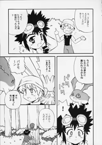 Page 4 of evolution - preview thumbnail