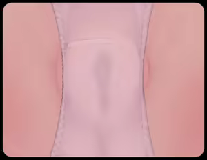 Page 647 of Ruriri - preview thumbnail
