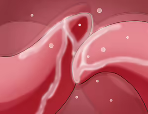 Page 391 of My First Sex LIfe - Student Edition - preview thumbnail