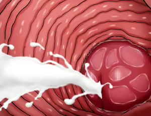 Page 61 of My First Sex LIfe - Adult Edition - preview thumbnail