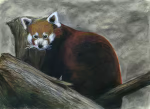 Page 345 of Artist - TChenArt / ThomChen114 - preview thumbnail