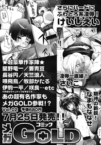 Page 317 of COMIC Mega GOLD 2007-07 Vol. 01 - preview thumbnail