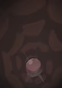 Page 66 of The Salesman and the President - preview thumbnail