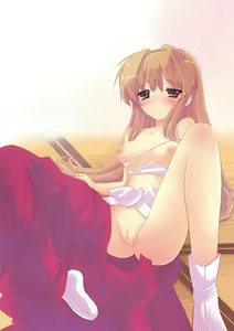 Seto Hanayome - hentai manga cover image