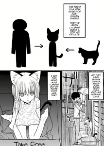 Page 2 of Hito neko no kaikata ～Hatsujo-ki-hen～ | How To Raise A Humancat ~Mating Season Edition~ - preview thumbnail