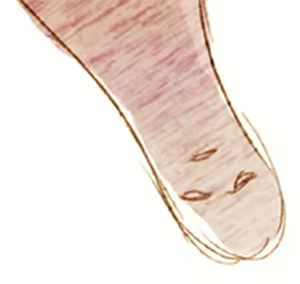 Page 1037 of Quartett！ Part2 - preview thumbnail