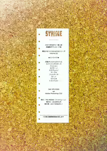 Page 55 of STRIKE - preview thumbnail