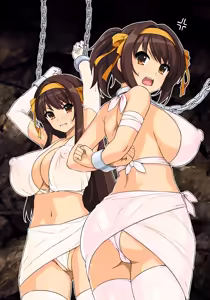 Haruhi-san — hentai manga cover on Fhentai