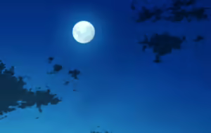 Page 175 of Obaka de Yasashii Kasshoku Gal o, Ikioi de Haramaseteshimatta Ore ga Aisai Baka ni Natta Riyu - preview thumbnail