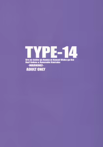 Page 26 of TYPE-14 - preview thumbnail