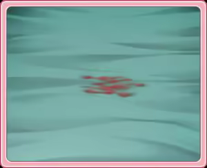 Page 671 of Sweet! - preview thumbnail