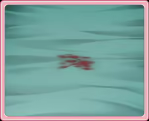 Page 673 of Sweet! - preview thumbnail