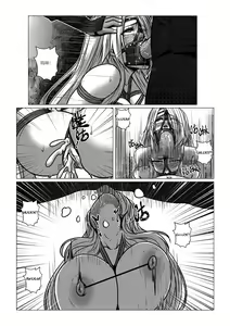 Page 16 of RENQUE S2.5 - preview thumbnail
