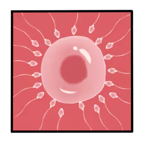 Page 1558 of The Savior of Impregnation - preview thumbnail