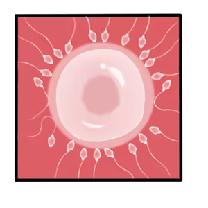 Page 1563 of The Savior of Impregnation - preview thumbnail