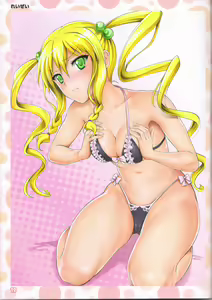 Page 15 of Maken-Ki! Two - BD Scan - 01 - Visual Fan Book - Box - preview thumbnail