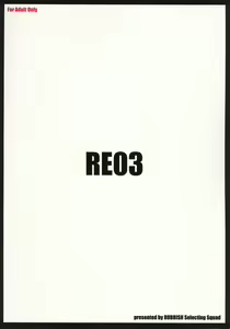 Page 42 of RE03 - preview thumbnail