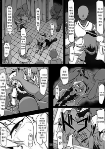Page 13 of Koushuu Benjo Lunasa ~Kawaisou na Lunasa-san~ | 공중변소 루나사 ~가엾은 루나사 씨~ - preview thumbnail