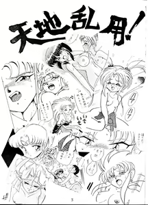 Page 3 of Tenchi Ranyou! Hatsujouki - preview thumbnail