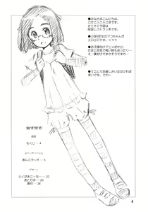 Page 3 of Anko Launch - preview thumbnail