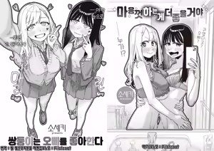 Futago wa Onii-chan ga Osuki & Omoikiri Shita Hou ga Ii wa | 쌍둥이는 오빠를 좋아한다 & 마음껏 하는게 좋을거야 (decensored) - hentai manga cover image