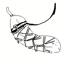 Page 1797 of Artist - Nori | Noriburu | 岐神のりお - preview thumbnail