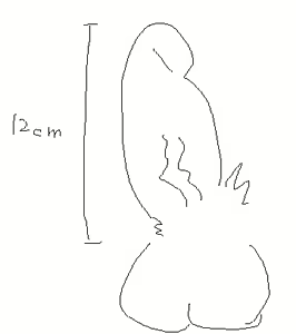 Page 311 of Artist - Nori | Noriburu | 岐神のりお - preview thumbnail