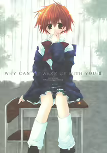 WHY CAN'T I WAKE UP WITH YOU Ⅱ - hentai manga cover image