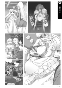 Page 216 of Zero No Tsukaima - preview thumbnail