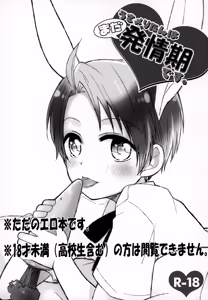 Page 3 of Usa Meri Tan wa Mada Hatsujoukidesu - preview thumbnail
