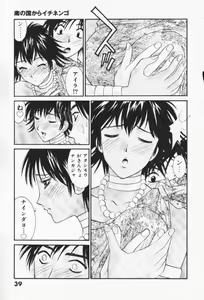 Page 40 of Minami no Kuni Kara Konnichiwa - preview thumbnail