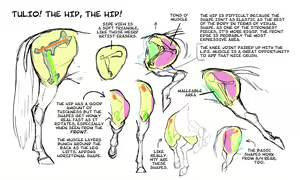 Page 14 of DrQube's folder of random animal and furry anatomy 2d study - preview thumbnail