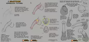 Page 29 of DrQube's folder of random animal and furry anatomy 2d study - preview thumbnail