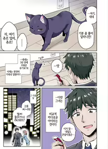 Page 3 of Uchi no Yandere na Kaineko-chan ni Mechakucha ni Shiborarechau Hanashi Full Color-ban - preview thumbnail