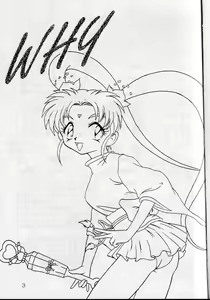 Page 2 of WHY - preview thumbnail