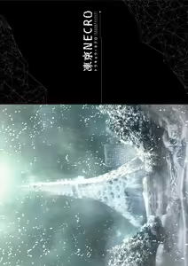 Page 2 of Tokyo Necro VISUAL FANBOOK - preview thumbnail