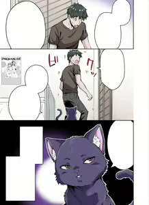 Page 4 of Uchi no Yandere na Kaineko-chan ni Mechakucha ni Shiborarechau Hanashi Full Color-ban - preview thumbnail