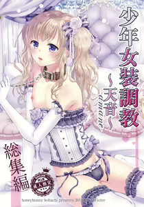 Shounen Josou Choukyou ~Amane~ Soushuuhen — hentai manga cover on Fhentai