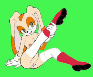 Page 627 of Cream the Rabbit Collection Part 2 - preview thumbnail