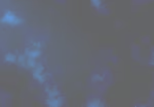 Page 236 of Stigma-ARIA - preview thumbnail