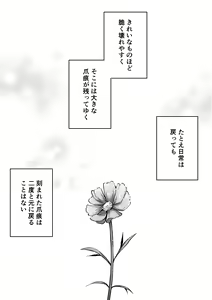 Page 4 of Tsumeato - preview thumbnail