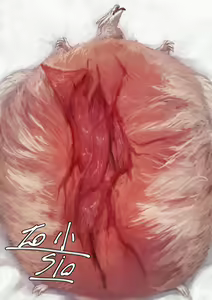 Page 432 of Den [torihasiden] only NSFW - preview thumbnail